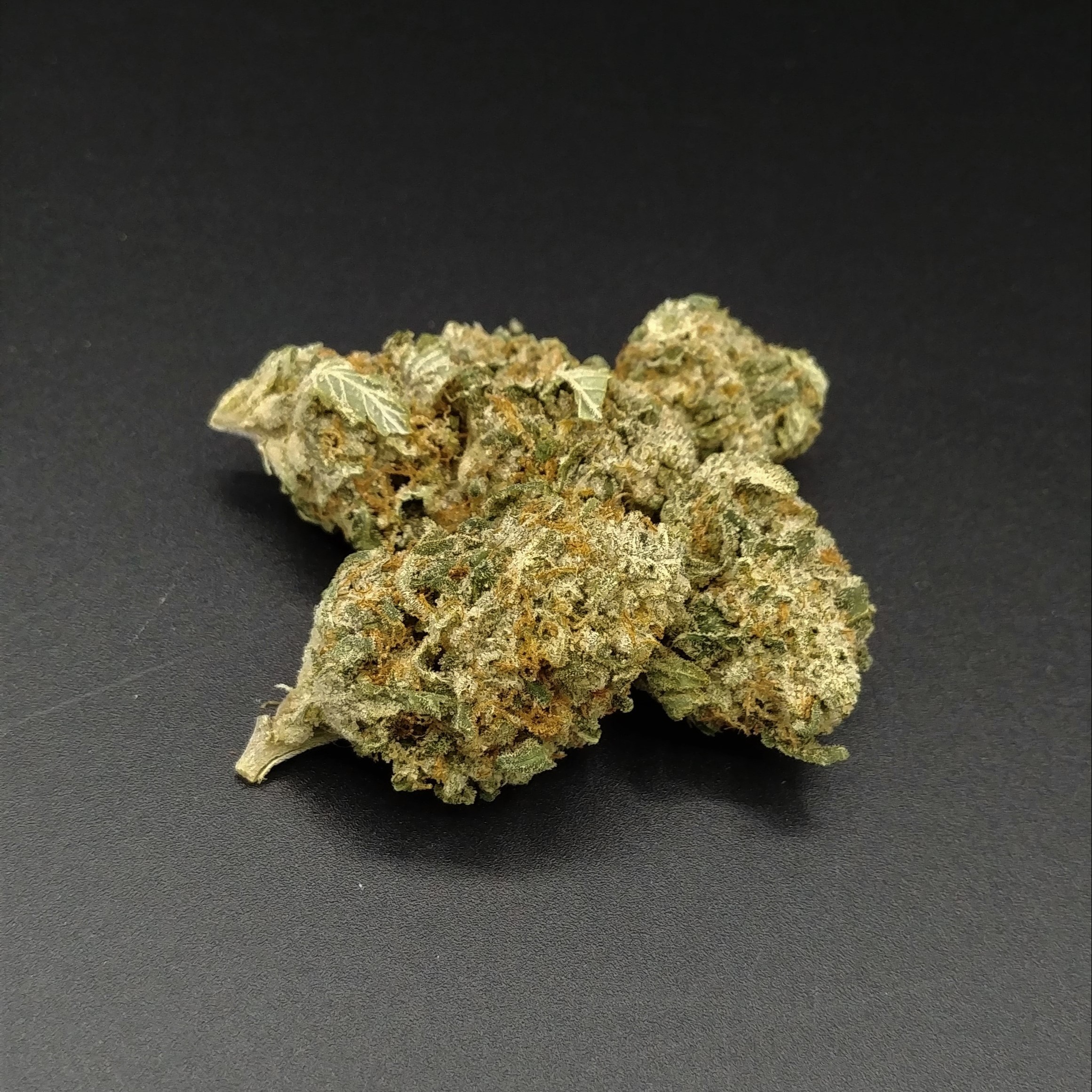 (REC) Bio-Star